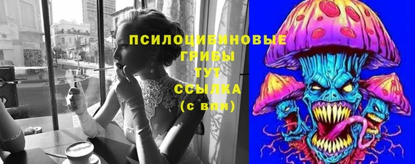 ешки Аркадак