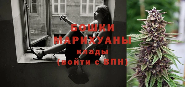ешки Аркадак