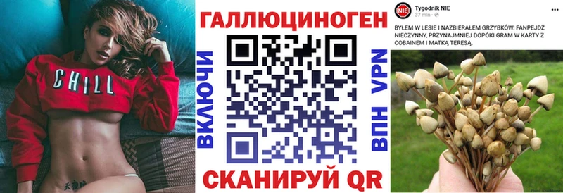 Купить  Дубовка  Псилоцибиновые грибы прущие грибы 