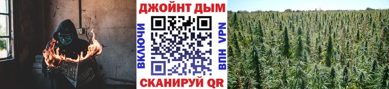 МАРИХУАНА план  Купить закладки  Дубовка 